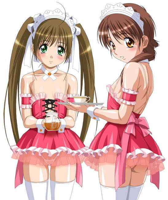 [50 pieces of maid clothes] two-dimensional maid erotic images please! Part39 46