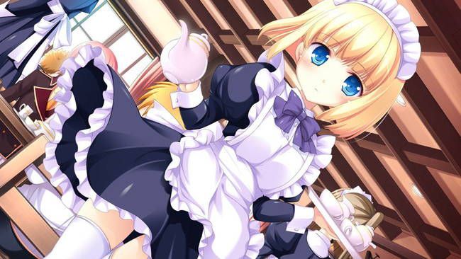 [50 pieces of maid clothes] two-dimensional maid erotic images please! Part39 48