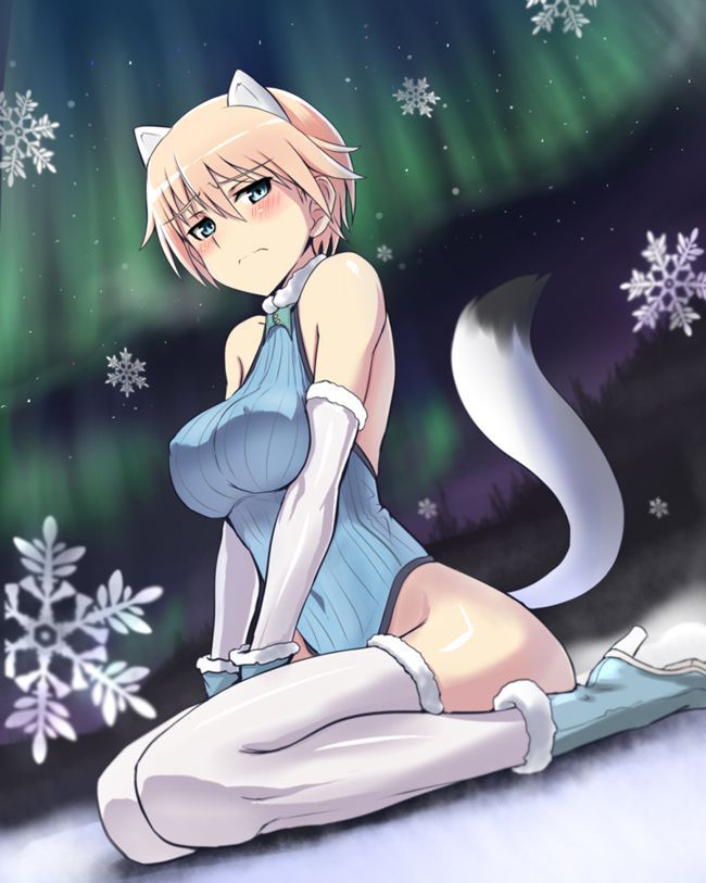 About the fact that the second image of Strike Witches is too sloppy 1