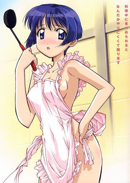 [55 sheets] a secondary erotic image collection for admiring the naked apron daughter. 14 19