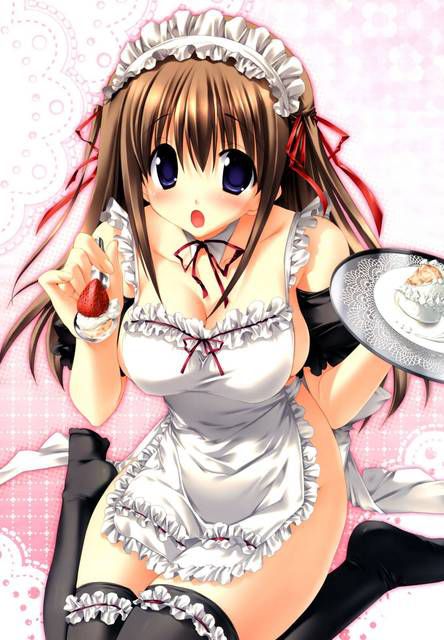 [55 sheets] a secondary erotic image collection for admiring the naked apron daughter. 14 5
