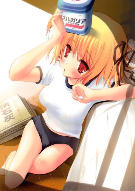 [56 pieces] two-dimensional, bloomers girl Erofeci Image Collection (* ´ totally '). 8 [Athletic Wear] 37