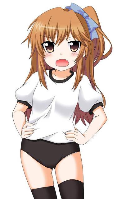 [56 pieces] two-dimensional, bloomers girl Erofeci Image Collection (* ´ totally '). 8 [Athletic Wear] 38