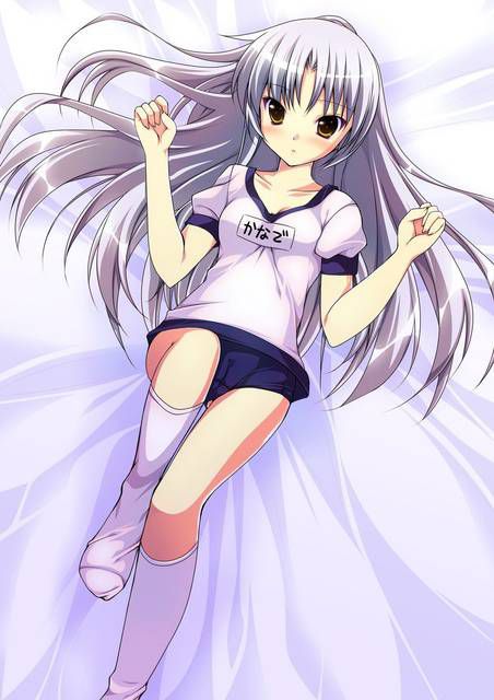 [56 pieces] two-dimensional, bloomers girl Erofeci Image Collection (* ´ totally '). 8 [Athletic Wear] 51