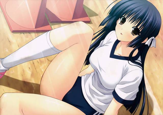 [56 pieces] two-dimensional, bloomers girl Erofeci Image Collection (* ´ totally '). 8 [Athletic Wear] 52