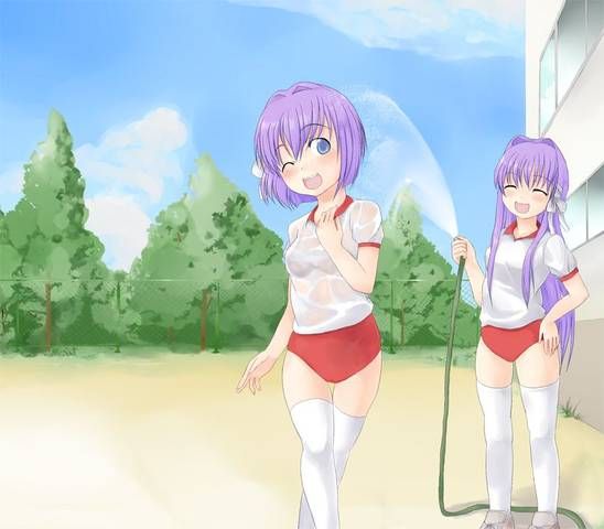 [56 pieces] two-dimensional, bloomers girl Erofeci Image Collection (* ´ totally '). 8 [Athletic Wear] 8