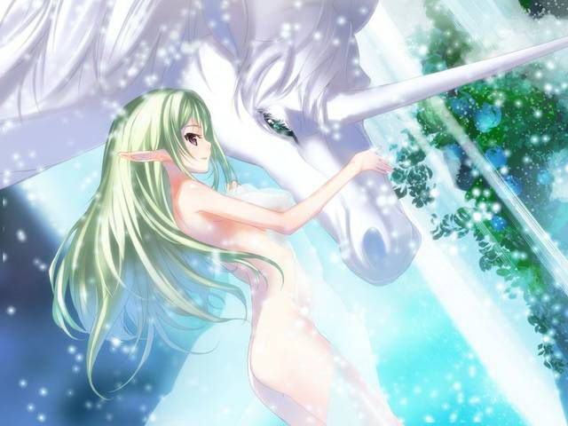 [54 photos] Two-dimensional elf daughter's fantasy erotic images collection. 21 [Elf] 23