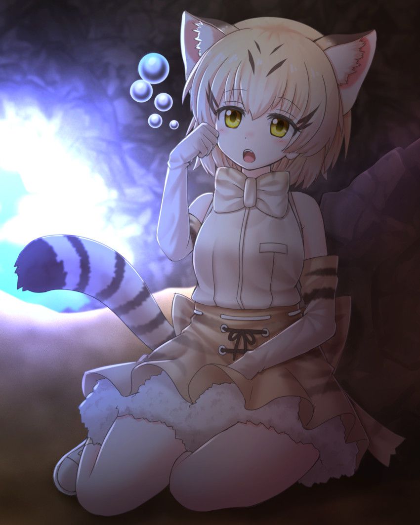 [Brute friends] cat (sand cat) Photo Gallery 16