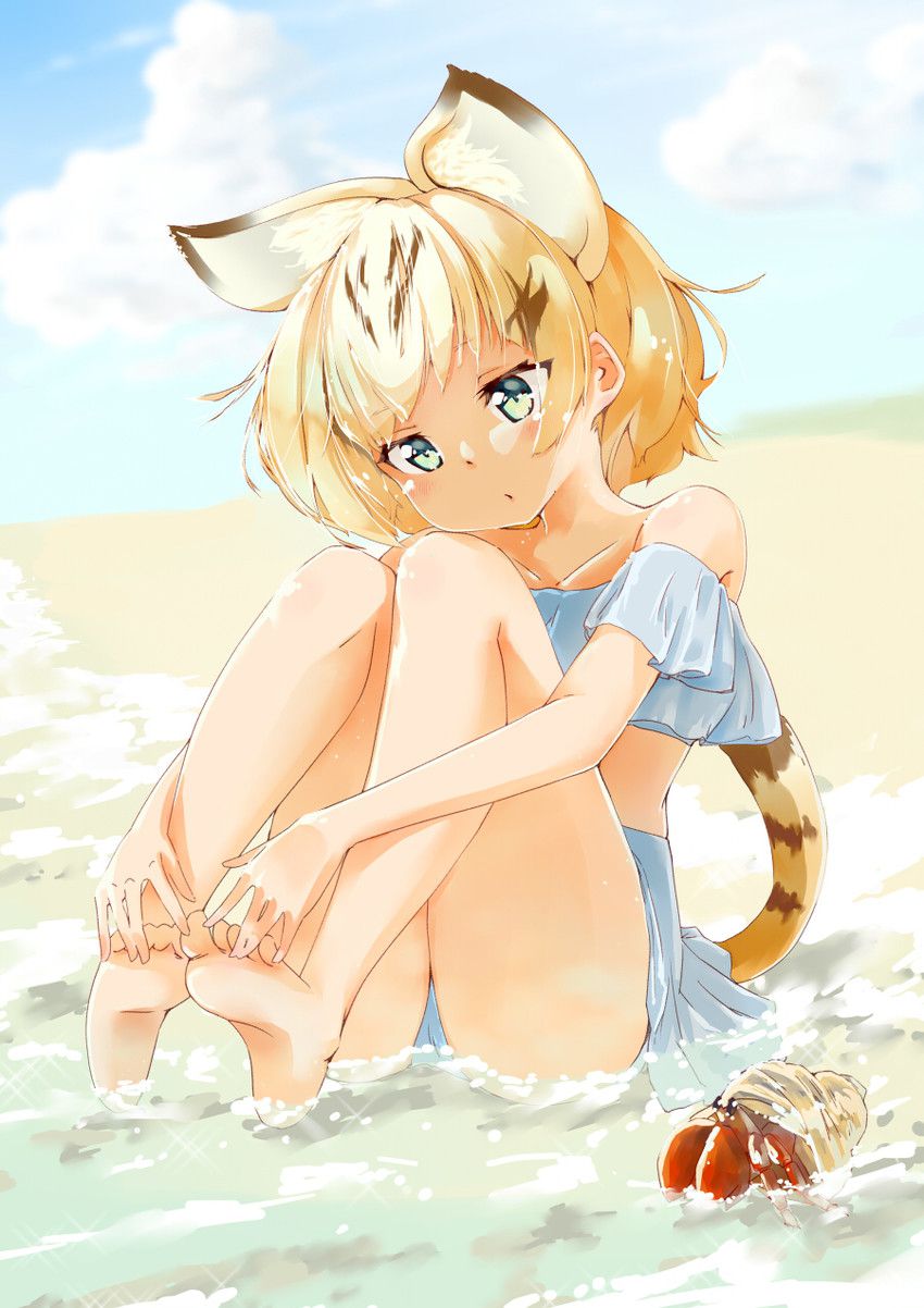 [Brute friends] cat (sand cat) Photo Gallery 28