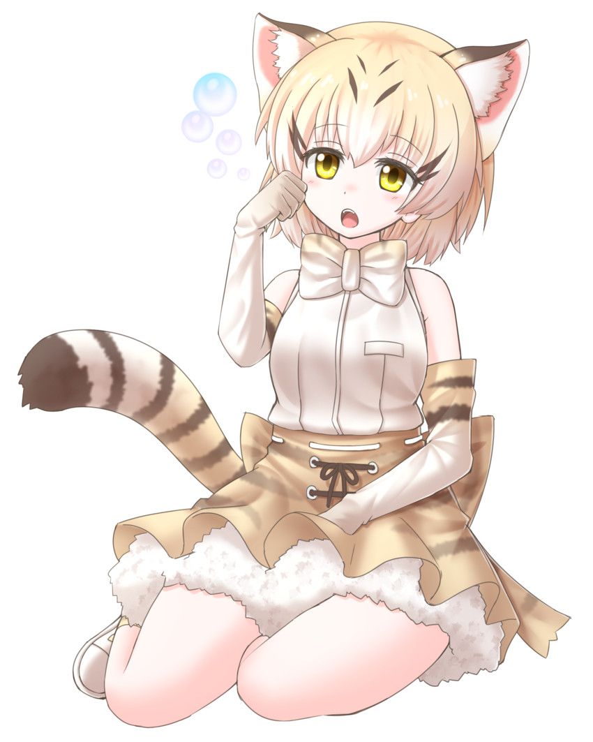 [Brute friends] cat (sand cat) Photo Gallery 35