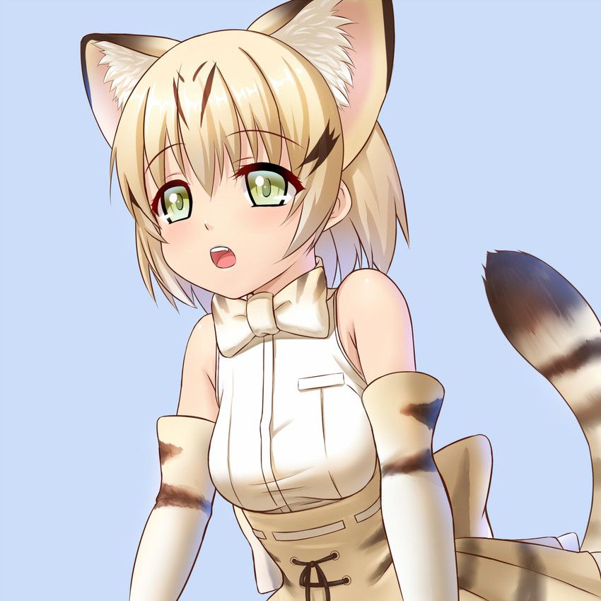 [Brute friends] cat (sand cat) Photo Gallery 41