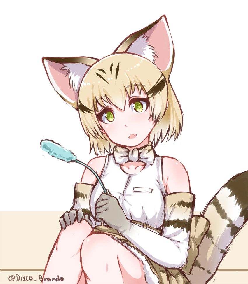 [Brute friends] cat (sand cat) Photo Gallery 46