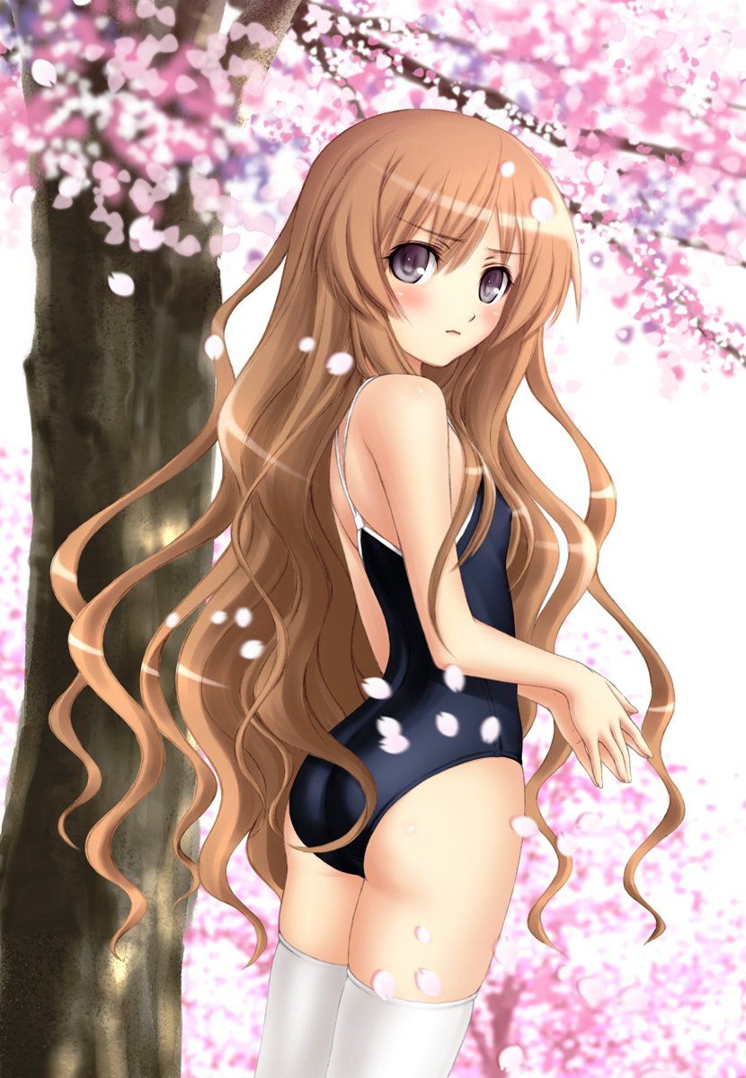 The lewd image of the swimsuit was lost in what. 17