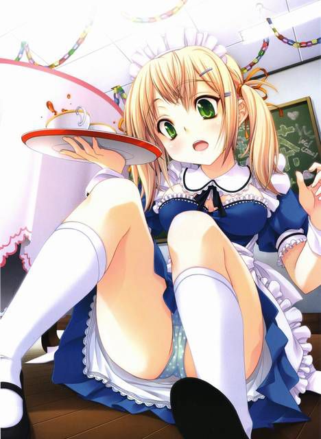 [49 pieces] cute two-dimensional girl fetish image collection of petticoat. One 26