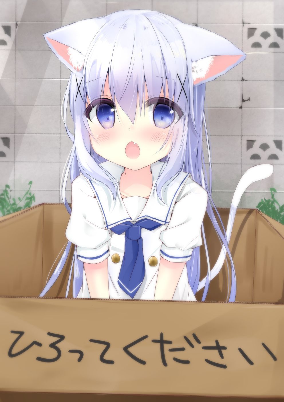 [Secondary ZIP] (chino) image of Chino-chan (incense style) 100 pieces of heart to come hopping is the rabbit order? 》 53