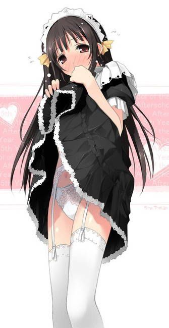 [50 pieces of maid's clothes] erotic two-dimensional made image Gris! Part35 5