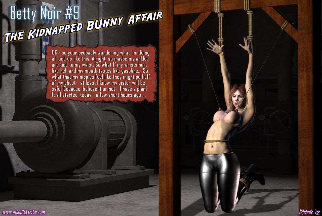 Betty Noir, The Kidnapped Bunny Affair 2