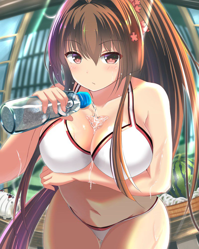[Secondary] swimsuit girl [Image] 53 35