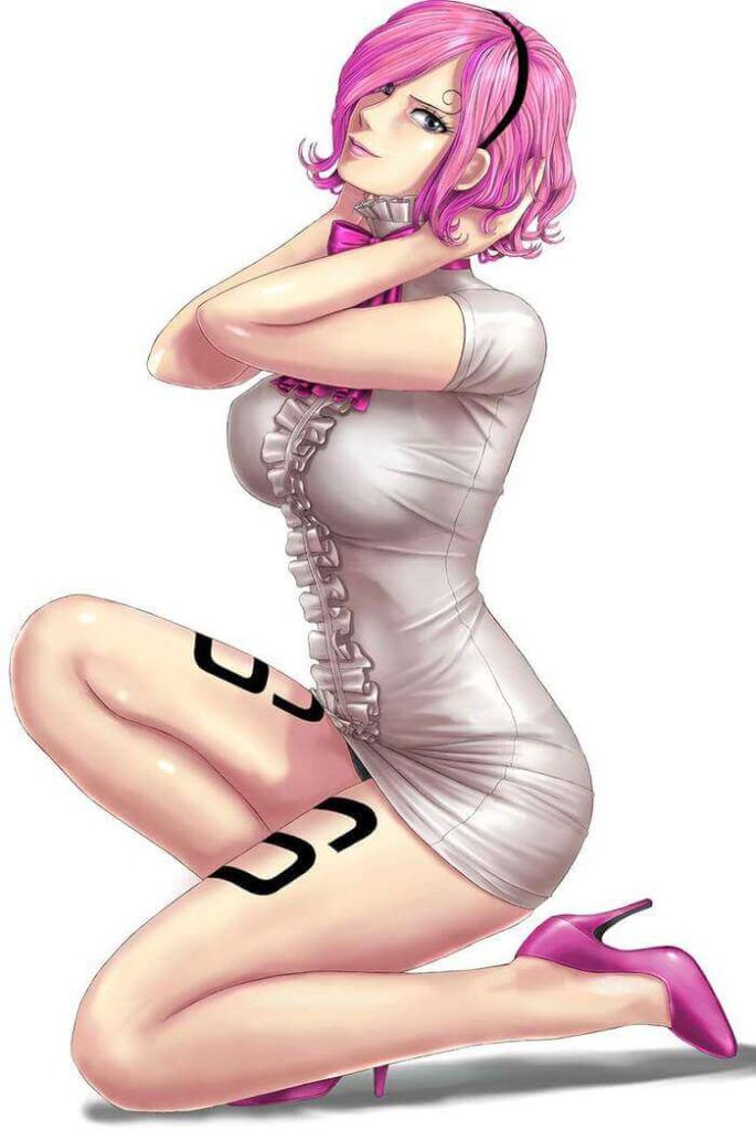 I want erotic images of one piece! 2