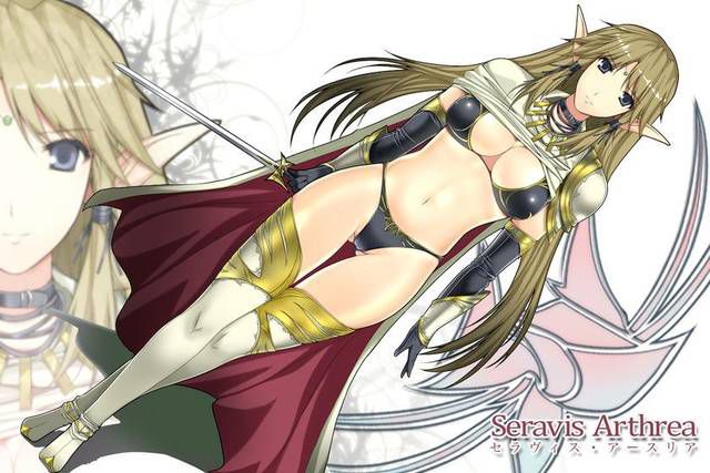 [70 sheets] Two-dimensional woman warrior's cool fetish image collection. 2 [Armor] 16