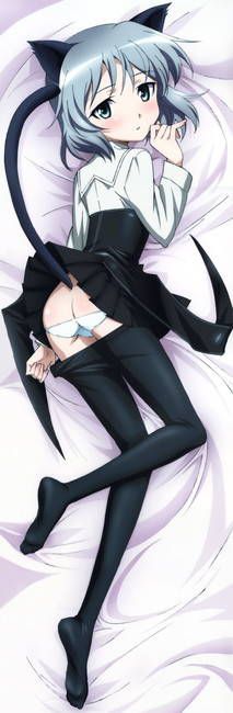 A guy who wants to be in erotic images of strike witches! 17