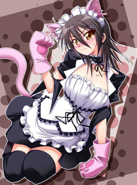 The gentleman who likes the image of the maid is here. 12