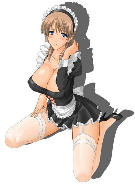 The gentleman who likes the image of the maid is here. 14