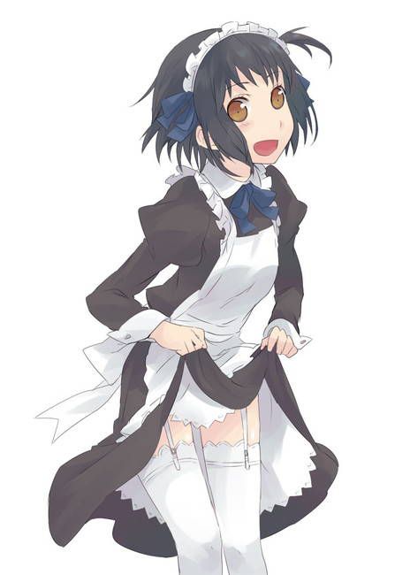 The gentleman who likes the image of the maid is here. 16