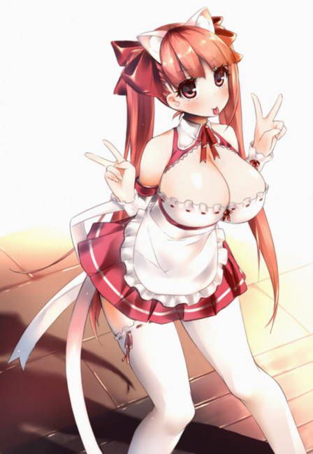 The gentleman who likes the image of the maid is here. 29