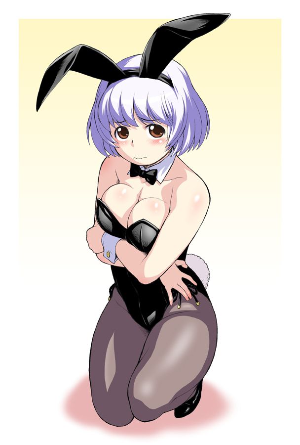 Second daughter image became a bunny girl figure of Mechasicoelochos representative 19