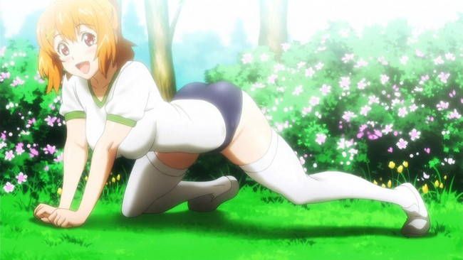 [50 pieces of physical education] two-dimensional erotic image part41 of bloomers and gymnastics uniform 20
