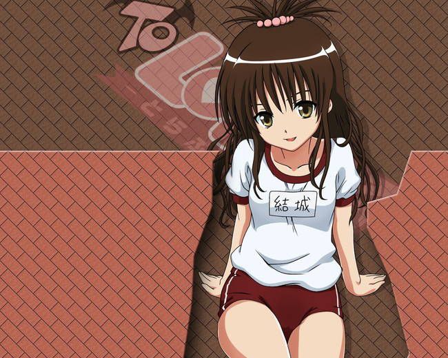 [50 pieces of physical education] two-dimensional erotic image part41 of bloomers and gymnastics uniform 33