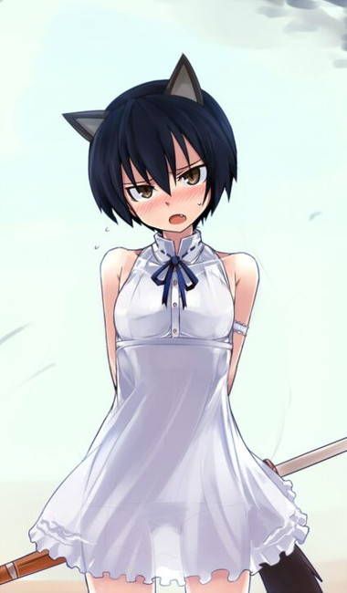 Strike Witches Photo Gallery 18