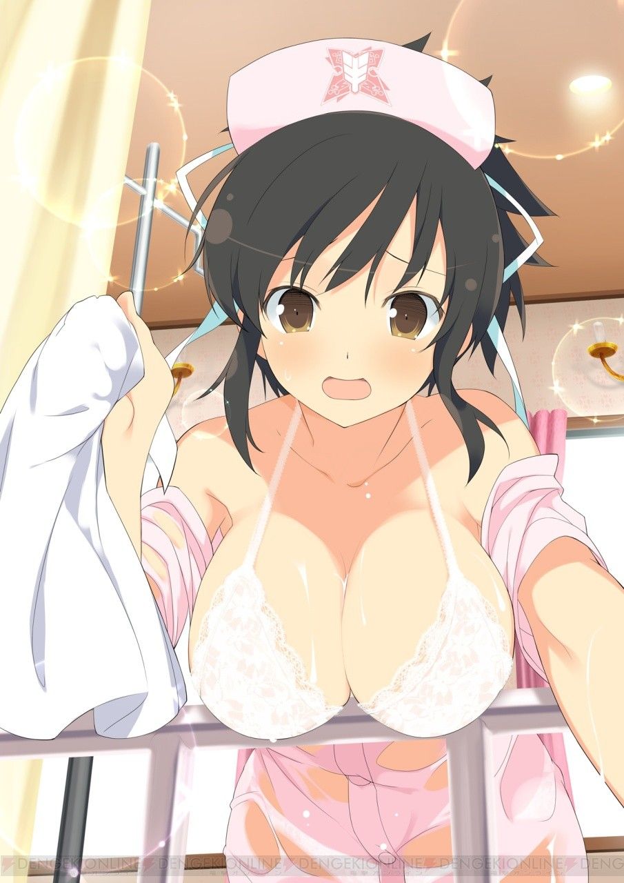 [Senran Kagura] [best PIE Championship] is held! Popular character vote is determined by the size of the breast! 5