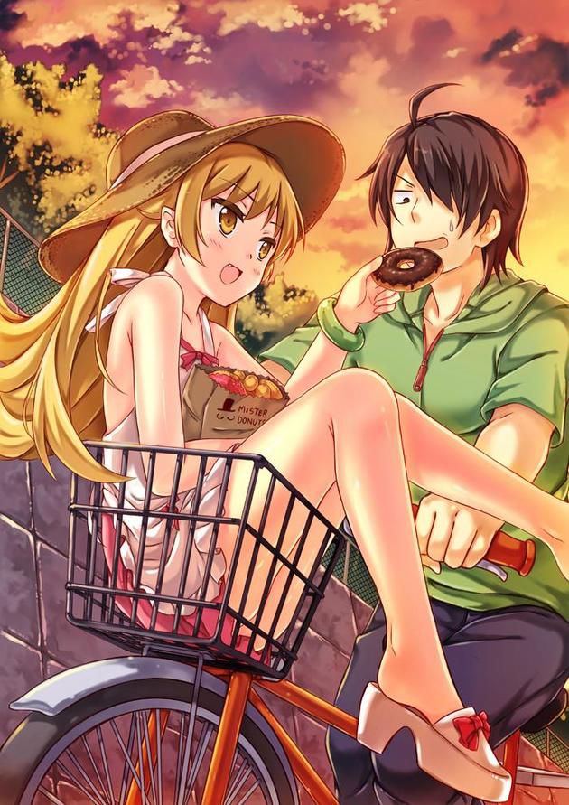 [Secondary image] I put the most erotic image of Bakemonogatari 17