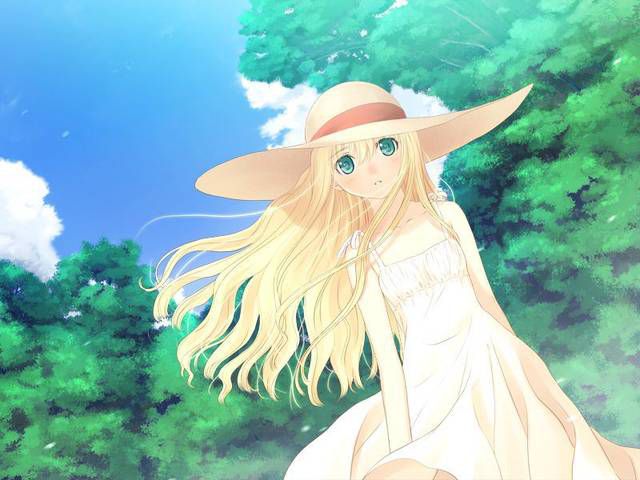 [61 sheets] two-dimensional girl fetish image collection of white One Piece &amp; Straw hat. One 14