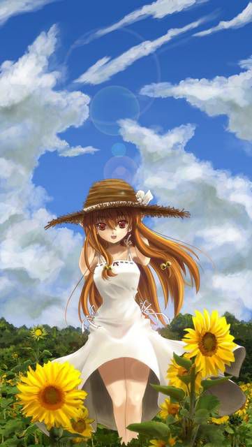 [61 sheets] two-dimensional girl fetish image collection of white One Piece &amp; Straw hat. One 44