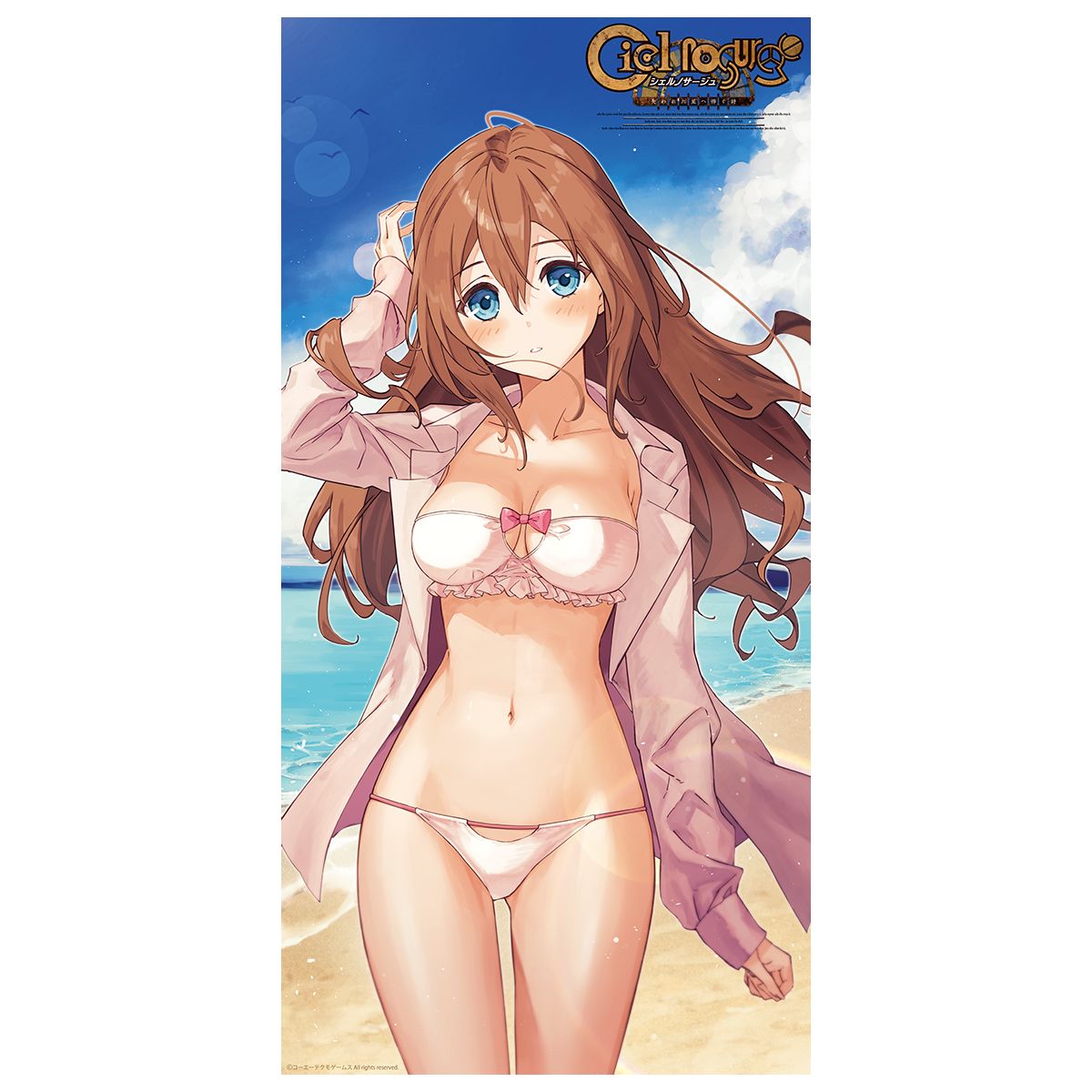 Gast shop "Totori's atelier" Totori and "Chernosage" ion in erotic drawn down swimsuits 10