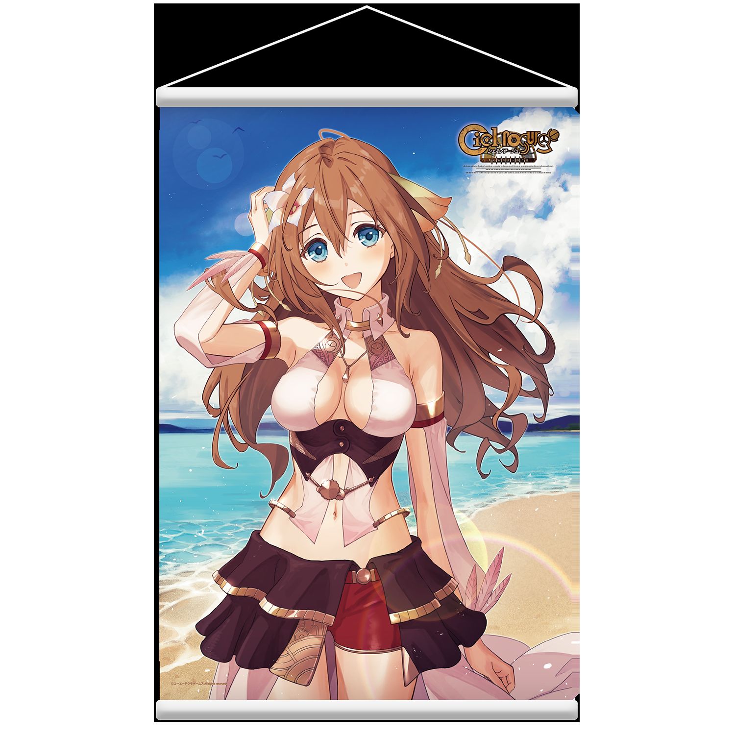 Gast shop "Totori's atelier" Totori and "Chernosage" ion in erotic drawn down swimsuits 7