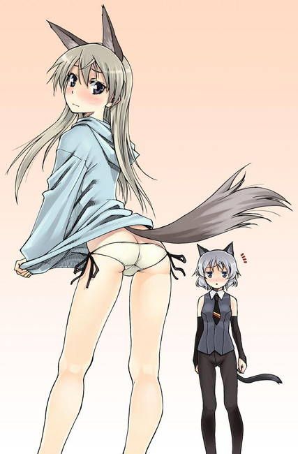 Would you like a secondary photo of the strike witches side? 16