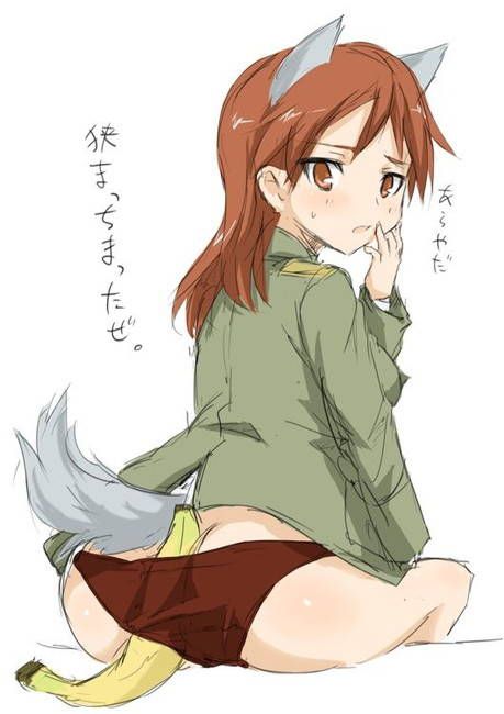 Would you like a secondary photo of the strike witches side? 20