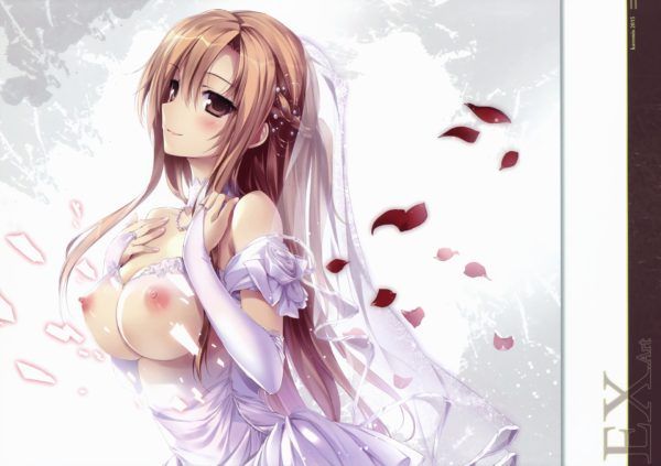 Sword Art Online Second erotic images summary 2