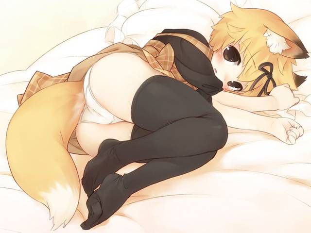 [56 Photos] Secondary fetish Image collection to admire the girl of Fox ears. 9 [Fox Girl] 12