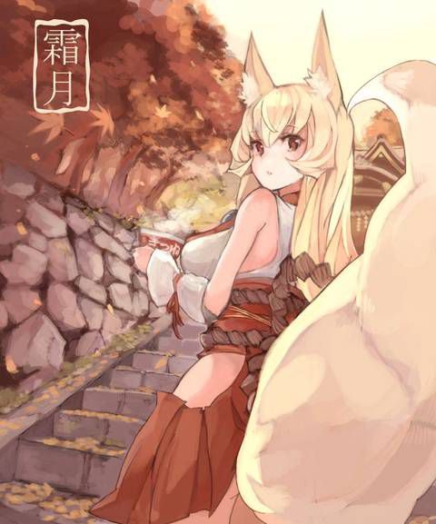 [56 Photos] Secondary fetish Image collection to admire the girl of Fox ears. 9 [Fox Girl] 13