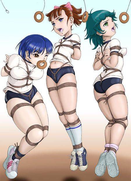I've been collecting images because gym clothes and bloomers are erotic. 20