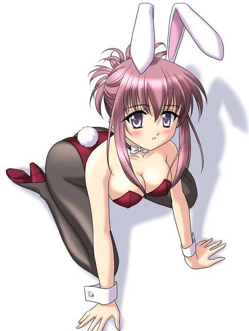 You want to see a naughty picture of a bunny girl? 1