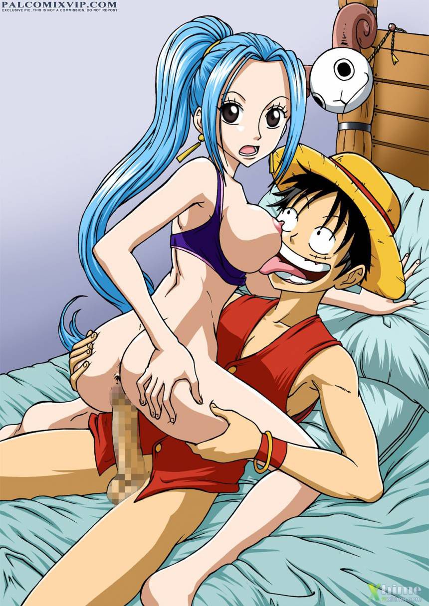 One Piece Erotic Image Summary Vol. 2 29