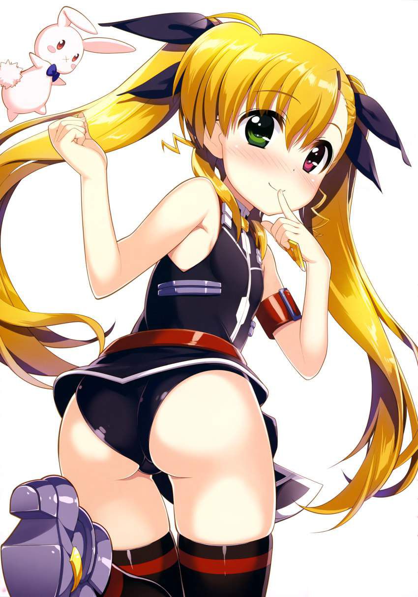 Magic girl Lyrical Nanoha randomly pastes erotic images 11