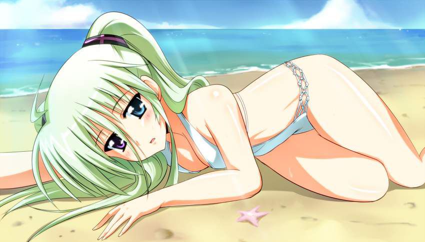 Magic girl Lyrical Nanoha randomly pastes erotic images 9