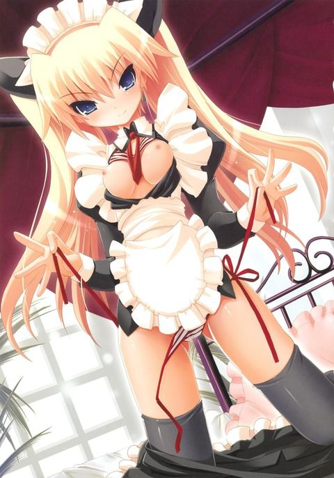 【Erotic Anime Summary】 Beauty and beautiful girls in maid clothes will serve you a good job [40 images] 1